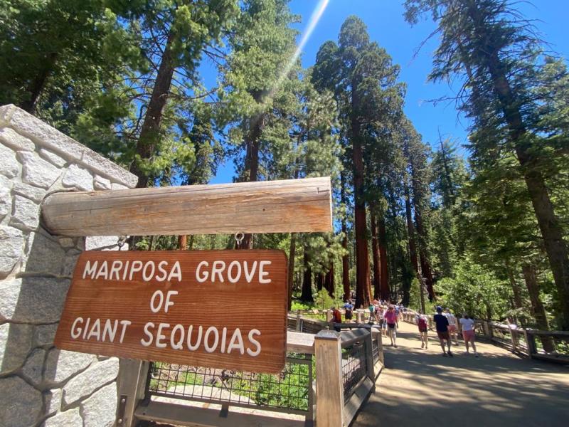 Qué ver en Mariposa Grove y Yosemite&nbsp;Valley