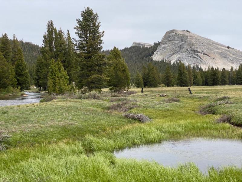 Qué ver en Tioga Road y Tuolumne Meadows en Yosemite + Mirror Lake&nbsp;Trail