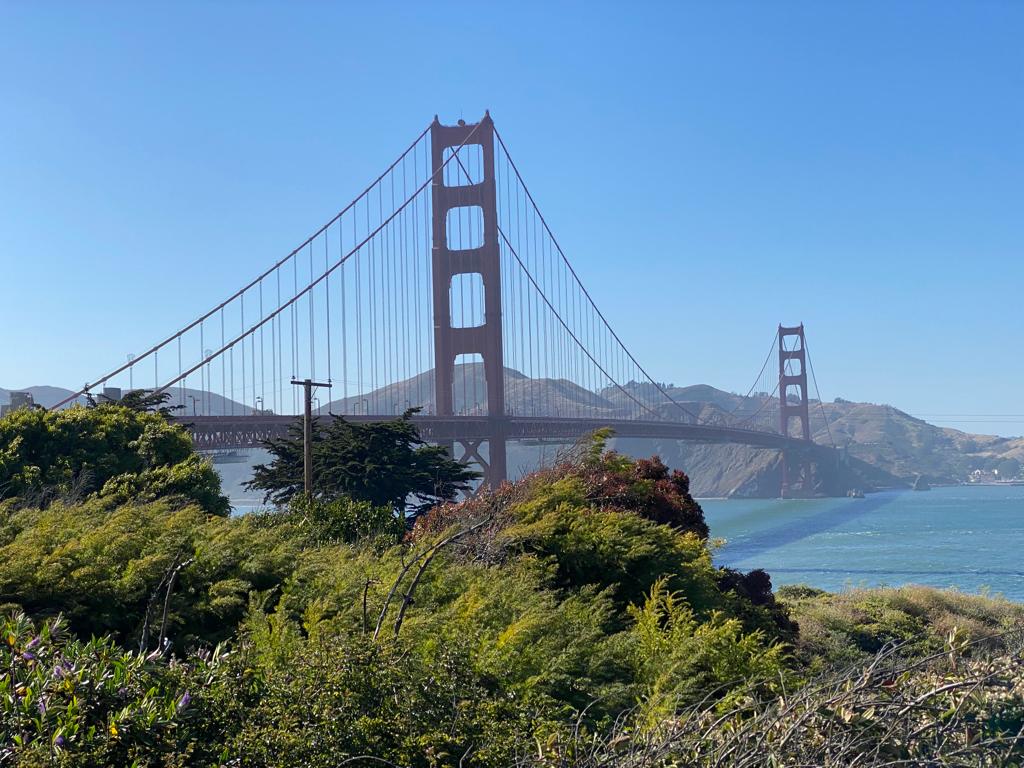 Qué ver en los barrios de Downtown, Chinatown, Little Italy y Fisherman’s Wharf en San&nbsp;Francisco