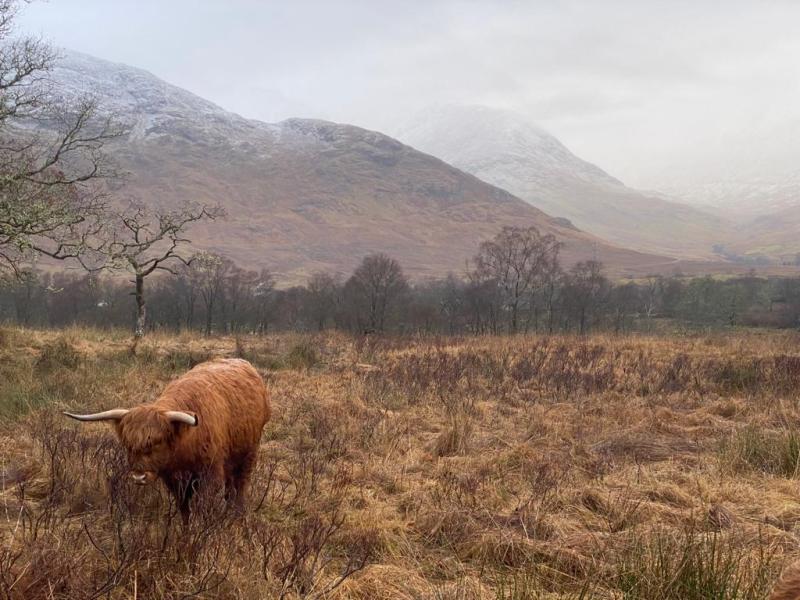 Qué ver en las Highlands o Tierras Altas escocesas: Glenfinnan, Valle de Glencoe, Kilchurn y&nbsp;Oban