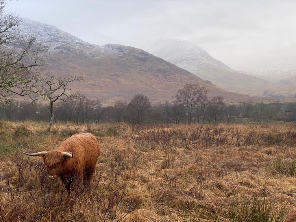 Qué ver en las Highlands o Tierras Altas escocesas: Glenfinnan, Valle de Glencoe, Kilchurn y&nbsp;Oban