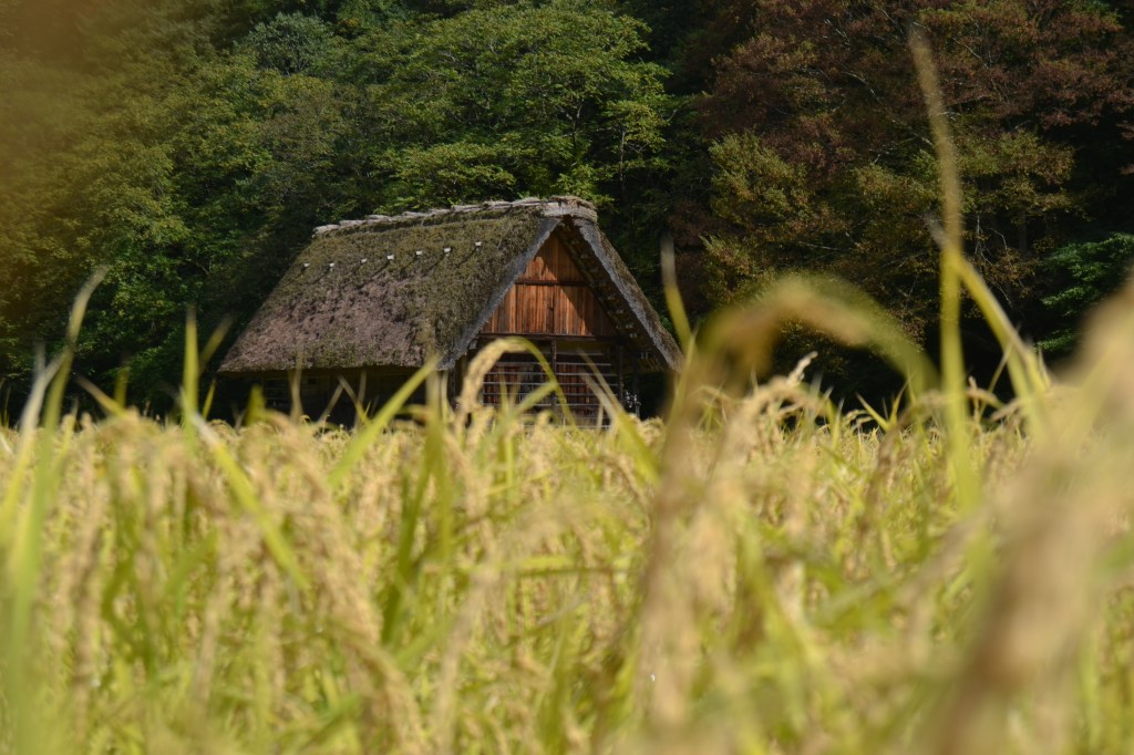 Cómo ir a Shirakawa-go (Alpes Japoneses) desde Osaka, Kioto, Takayama y&nbsp;Tokio