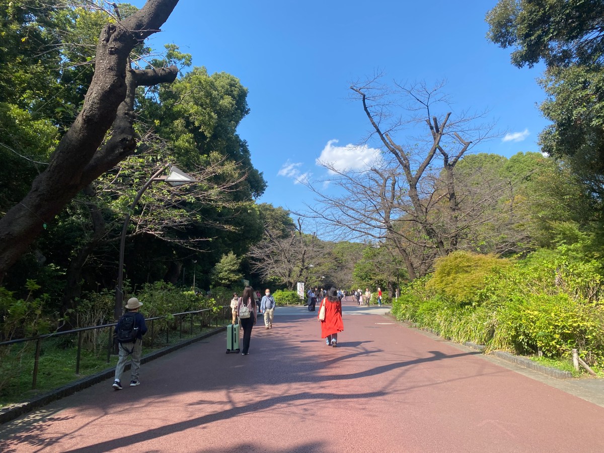 Qué ver en el barrio de Ueno en&nbsp;Tokio