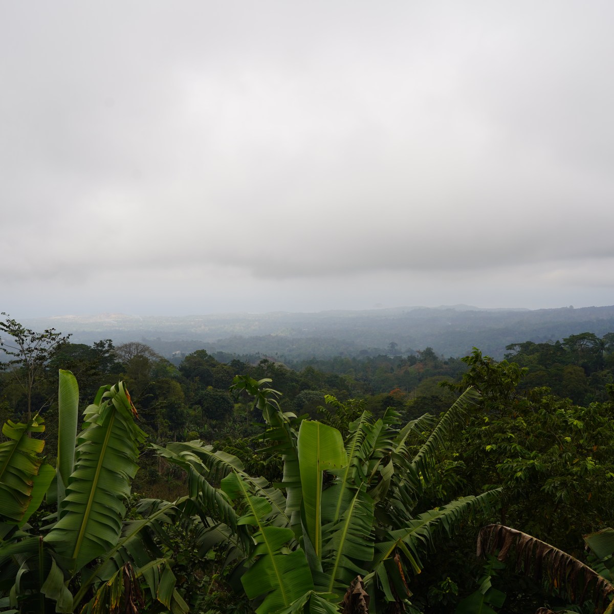 Qué ver en el interior y en la capital de Santo Tomé y Príncipe.  Itinerario y&nbsp;mapa
