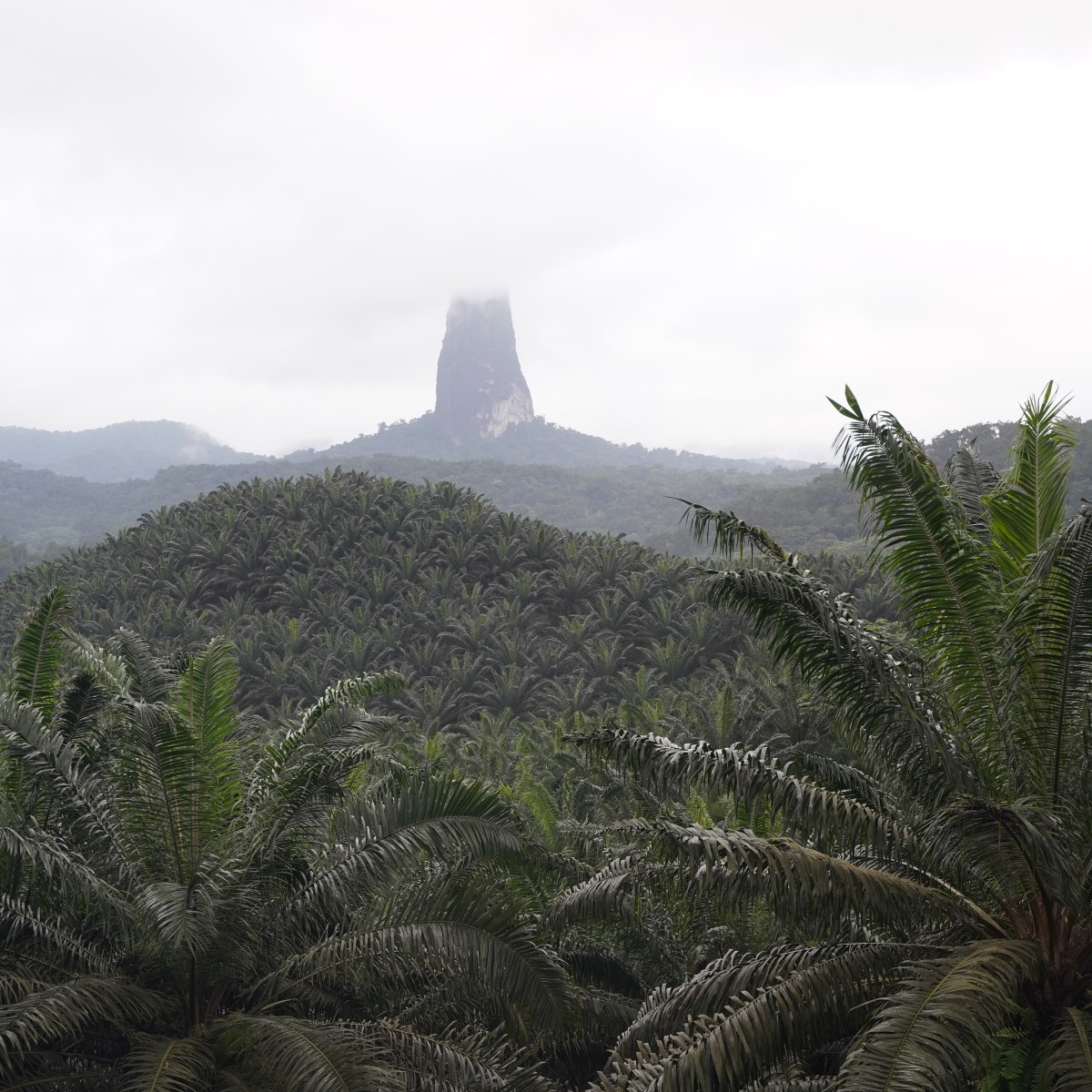 Qué ver en el este de Santo Tomé y Príncipe. Itinerario y&nbsp;mapa